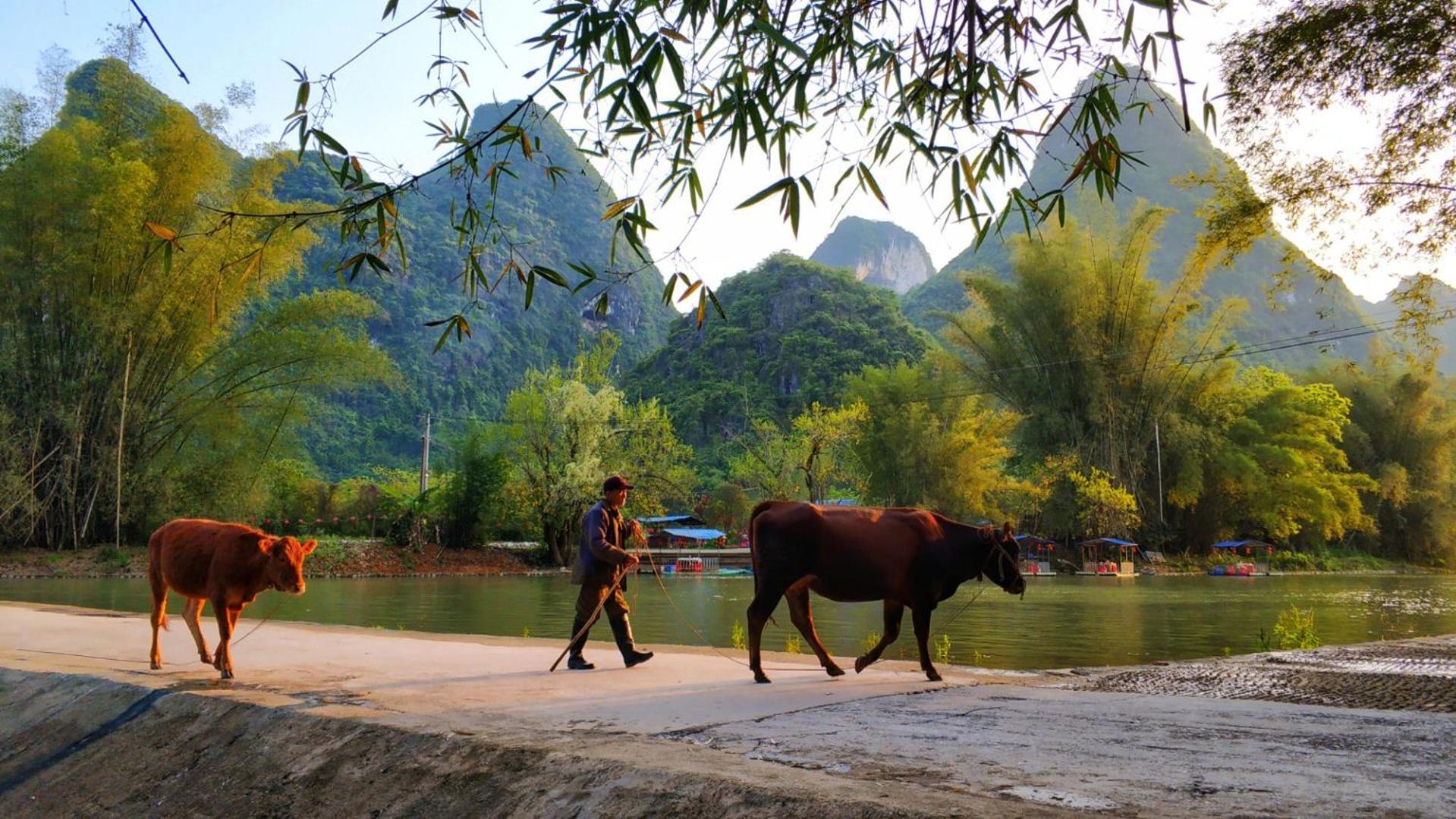 Moondance Boutique Resort Yangshuo Exteriör bild