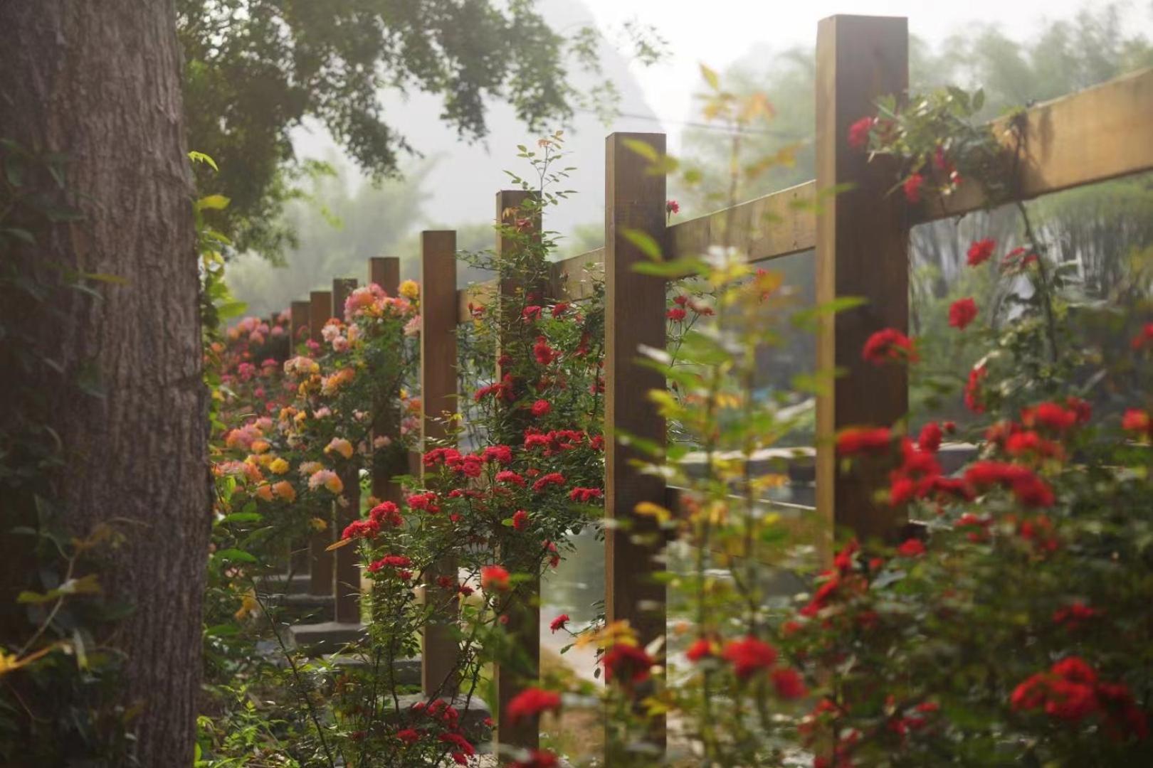 Moondance Boutique Resort Yangshuo Exteriör bild